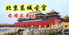 大鸡巴插进小嫩逼里狂操爽视频中国北京-东城古宫旅游风景区